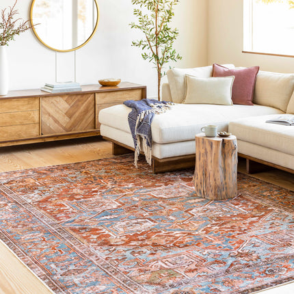 Darapidap Washable Area Rug Rugs TriadCommerceInc