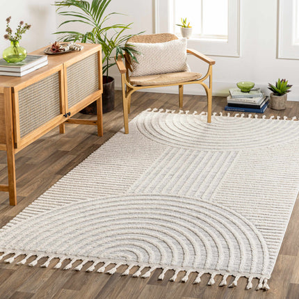 Dauin 3D Rainbow Area Rug with Tassels Rugs TriadCommerceInc