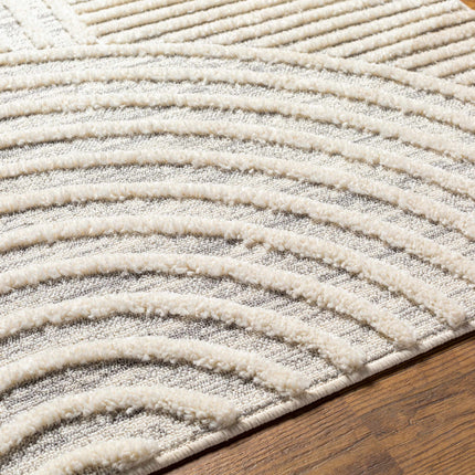 Dauin 3D Rainbow Area Rug with Tassels Rugs TriadCommerceInc