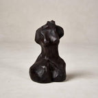 Obsidian Black