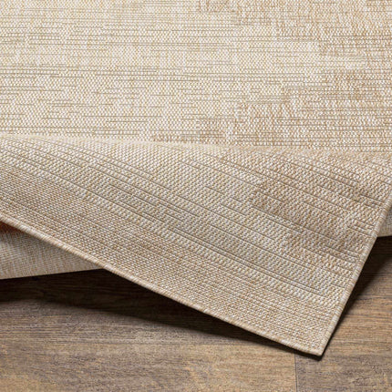 Djugun Beige Indoor & Outdoor Rug Rugs TriadCommerceInc