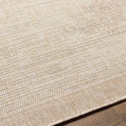 Djugun Beige Indoor & Outdoor Rug Rugs TriadCommerceInc