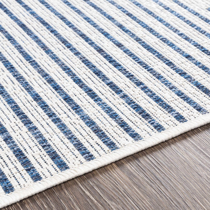 Stephan Blue & Cream Outdoor Rug Rugs TriadCommerceInc