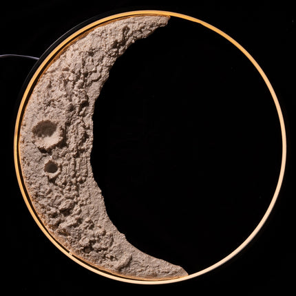 Luna 3D Moon Wall Lamp outdoor wall lighting TriadCommerceInc   