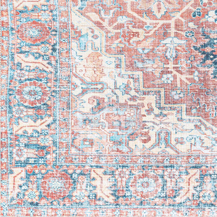 Evony Washable Area Rug - Clearance Rugs TriadCommerceInc