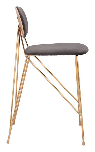 Georges Counter Stool (Set of 2) Gray & Gold Counter Stools TriadCommerceInc   