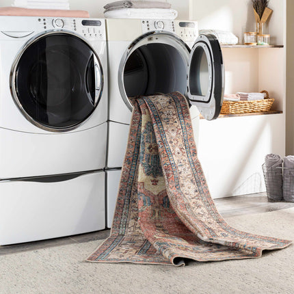 Foulridge Washable Area Rug - Clearance Rugs TriadCommerceInc