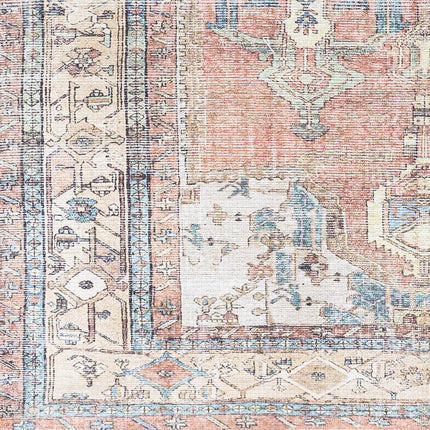 Foulridge Washable Area Rug - Clearance Rugs TriadCommerceInc