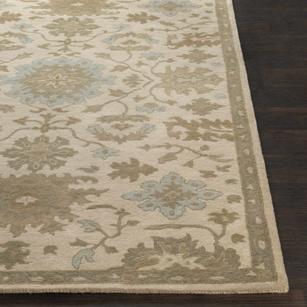 Hazen 1197 Hand Tufted Light Beige Wool Rug Rugs TriadCommerceInc