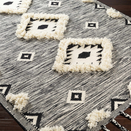 Gardner Cream on Gray Wool Tassel Rug - Clearance Rugs TriadCommerceInc
