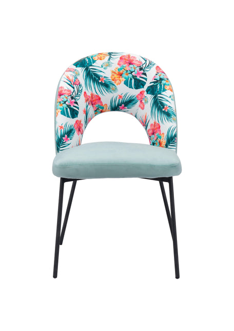 Bethpage Dining Chair (Set of 2) Multicolor Print & Green Chairs TriadCommerceInc   