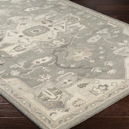 Broomfield 1196 Hand Tufted Taupe Wool Rug Rugs TriadCommerceInc