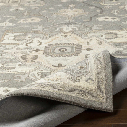 Broomfield 1196 Hand Tufted Taupe Wool Rug Rugs TriadCommerceInc