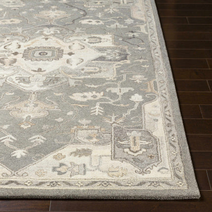 Broomfield 1196 Hand Tufted Taupe Wool Rug Rugs TriadCommerceInc