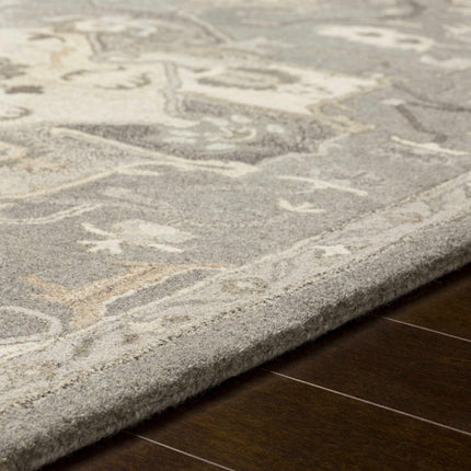 Broomfield 1196 Hand Tufted Taupe Wool Rug Rugs TriadCommerceInc