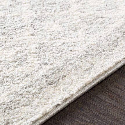 Constantin Gray Area Rug Rugs TriadCommerceInc