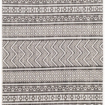 Imboden Black&White Outdoor Rug Rugs TriadCommerceInc 2'7" x 10' Runner