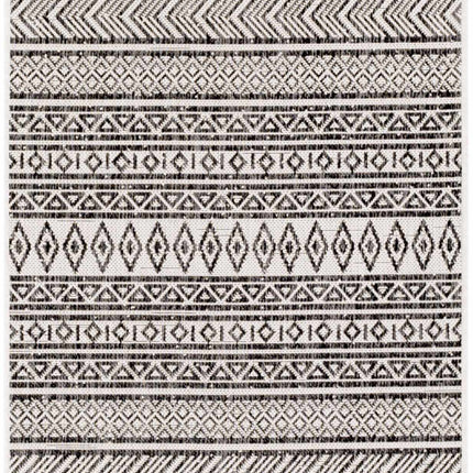 Imboden Black&White Outdoor Rug Rugs TriadCommerceInc 2'7" x 12' Runner