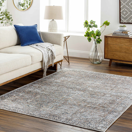 Tan Jill Vintage Washable Area Rug - Clearance Rugs TriadCommerceInc