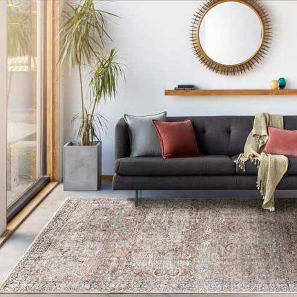 Tan Jill Vintage Washable Area Rug - Clearance Rugs TriadCommerceInc
