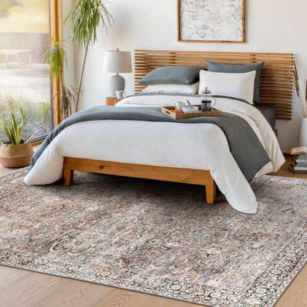 Tan Jill Vintage Washable Area Rug - Clearance Rugs TriadCommerceInc
