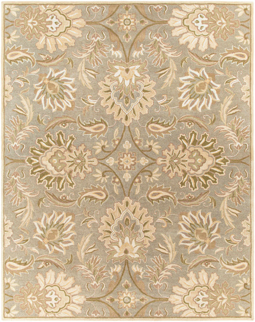 Chesterton Hand Tufted Ivory 1111 Area Rug Rugs TriadCommerceInc 7'6" x 9'6" Rectangle