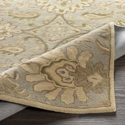 Chesterton Hand Tufted Ivory 1111 Area Rug Rugs TriadCommerceInc