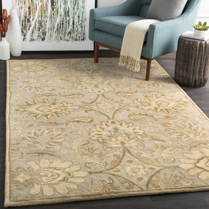 Chesterton Hand Tufted Ivory 1111 Area Rug Rugs TriadCommerceInc
