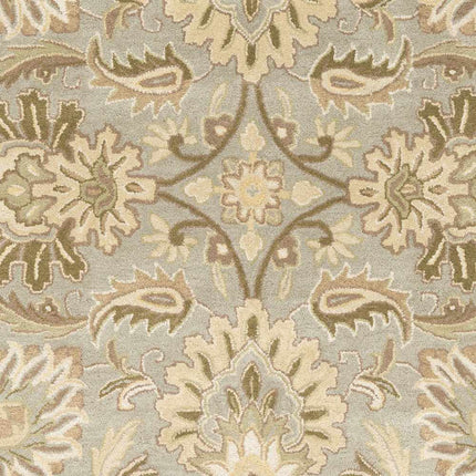 Chesterton Hand Tufted Ivory 1111 Area Rug Rugs TriadCommerceInc