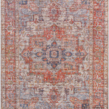 Lapase Washable Area Rug - Clearance Rugs TriadCommerceInc 5'3" x 7'3" Rectangle