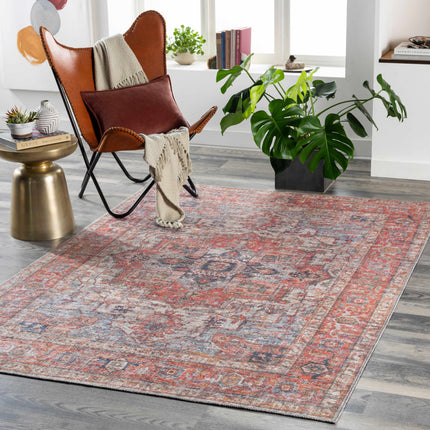 Lapase Washable Area Rug - Clearance Rugs TriadCommerceInc