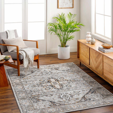 Liverpool Dark Gray Area Rug - Clearance Rugs TriadCommerceInc