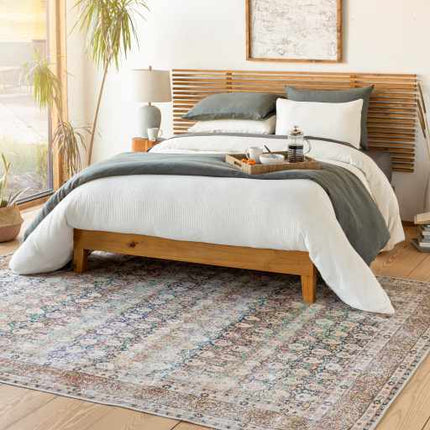 Rust Maligaya Distressed Washable Area Rug - Clearance Rugs TriadCommerceInc