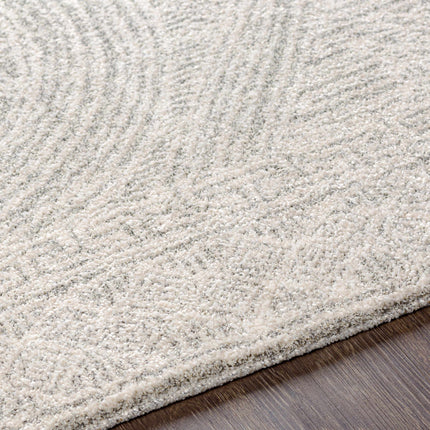 Middleville Luxe Rug - Clearance Rugs TriadCommerceInc