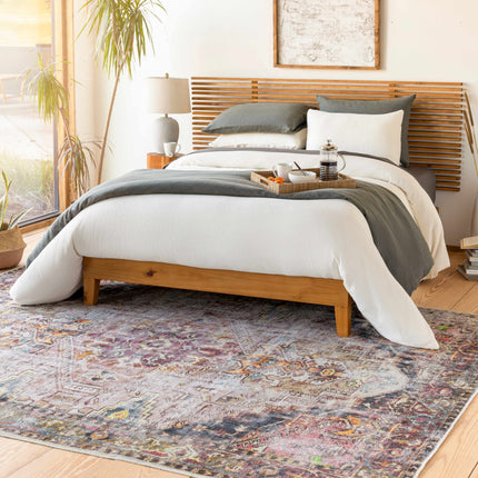 Monching Washable Area Rug - Clearance Rugs TriadCommerceInc