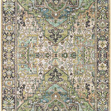 Neyland Sage Green Area Rug Rugs TriadCommerceInc 2'6" x 7'6" Runner