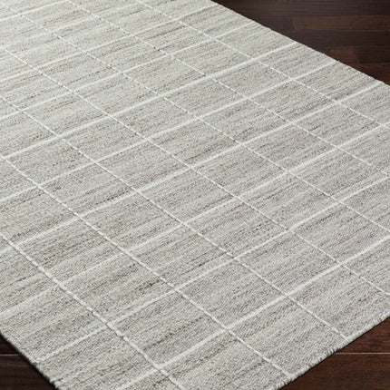 Nissa Checkered Area Rug Rugs TriadCommerceInc