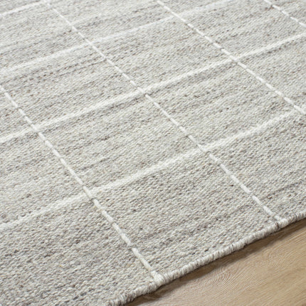 Nissa Checkered Area Rug Rugs TriadCommerceInc