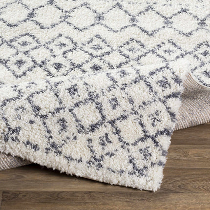 Navassa White/Gray Trellis Plush Rug Rugs TriadCommerceInc