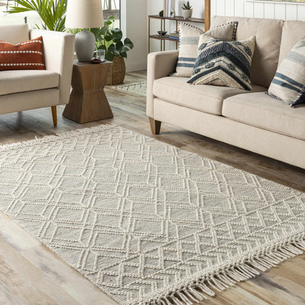 Ossun Wool Area Rug Rugs TriadCommerceInc
