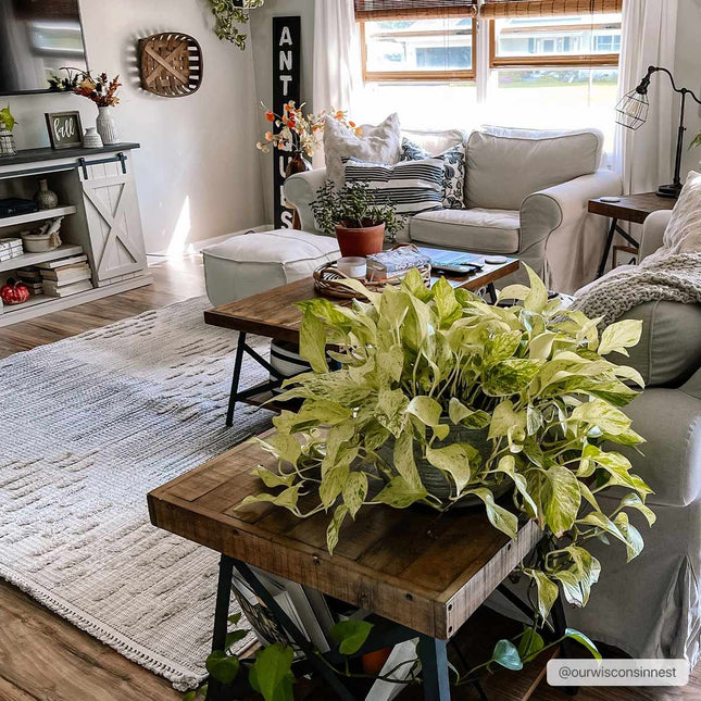 Poydras High-Low Rustic Rug Rugs TriadCommerceInc