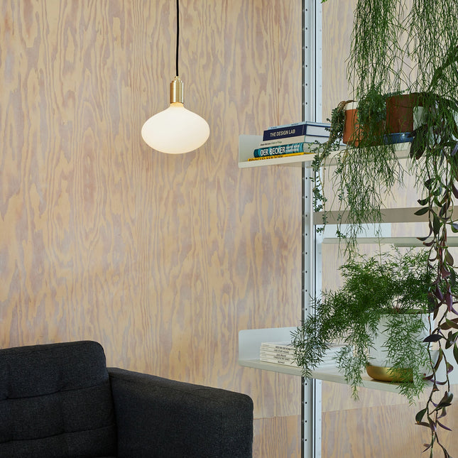 Oval II Pendant Light in Brass Home Decor > Lighting > Ceiling Lights > Pendant Lights TriadCommerceInc