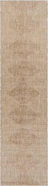 Stephan Dark Beige Outdoor Rug Rugs TriadCommerceInc 2'7" x 10' Runner