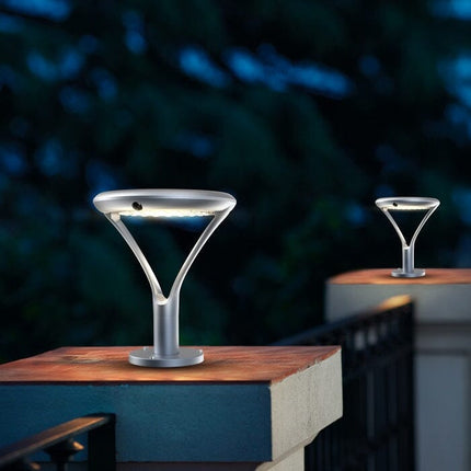 Aurora Pro Outdoor Pole-Mounted Dusk to Dawn Solar Light Home Decor > Lighting > Outdoor Lighting TriadCommerceInc