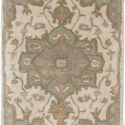 Broomfield Hand Tufted Sage 1143 Area Rug Rugs TriadCommerceInc 2' x 3' Rectangle