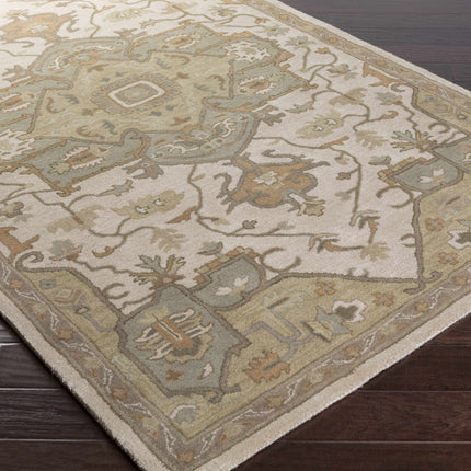 Broomfield Hand Tufted Sage 1143 Area Rug Rugs TriadCommerceInc