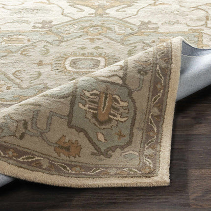 Broomfield Hand Tufted Sage 1143 Area Rug Rugs TriadCommerceInc
