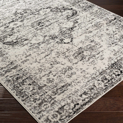 Park Area Rug - Clearance Rugs TriadCommerceInc