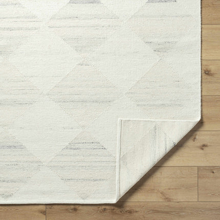 Rakin Area Rug Rugs TriadCommerceInc