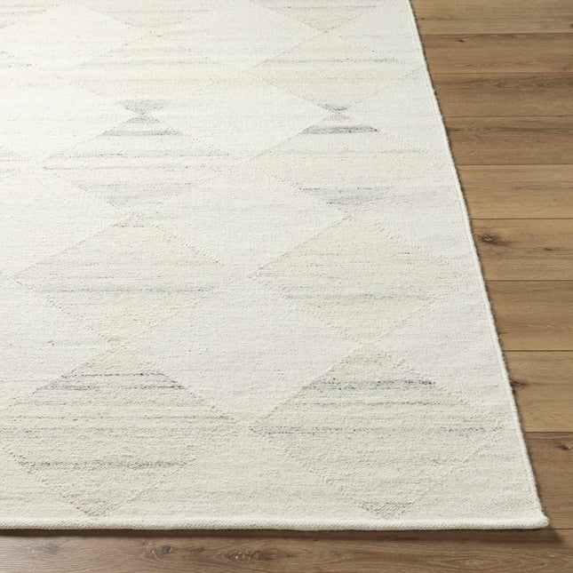 Rakin Area Rug Rugs TriadCommerceInc